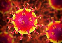 Οι επιστήμονες προειδοποιούν: Ο coronavirus ήταν μόνο η αρχή