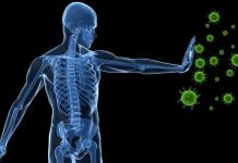 Our Immune System