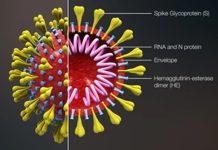 An Array of Vaccines