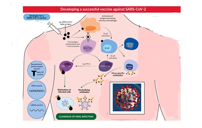 New technologies for vaccines