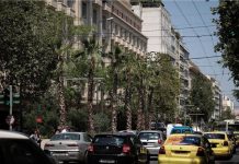 Μεγάλος Περίπατος: Οι φοίνικες στην Αθήνα τον 19ο αιώνα και η επιστροφή τους