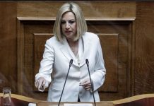 Γεννηματά: Αδιανόητο ο Τσίπρας να παζαρεύει την στήριξη στα εθνικά θέματα