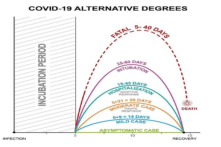Covid-19 Alternative degrees
