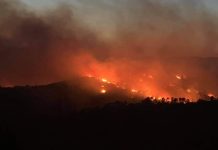 Έβρος: Οργανωμένο σχέδιο εμπρησμών εξετάζουν οι αρχές – 15 φωτιές το τελευταίο 48ωρο