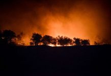 Φωτιά στη Μόρια: Κάποιοι πυροδότησαν την κατάσταση μέσω …facebook