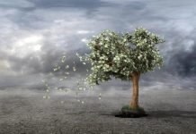 Ζημιογόνες κρατικές επιχειρήσεις. Μέχρι πότε θα τις συντηρούμε;