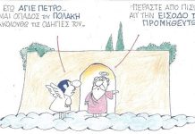 Οπαδός του Πολάκη