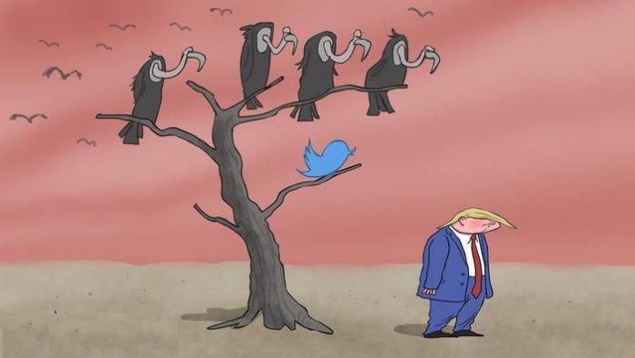 The Big Cut
