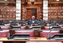 Ημιπιτσιρίκια εν δράσει