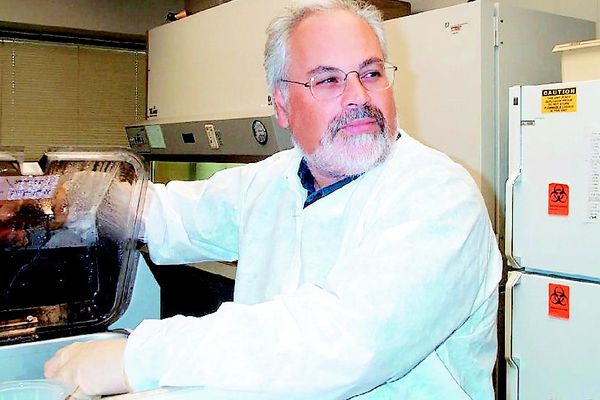 Παυλάκης: Την Ελλάδα την έχει σώσει ένα «τείχος σωφρόνων» πολιτών που τηρούν τα μέτρα
