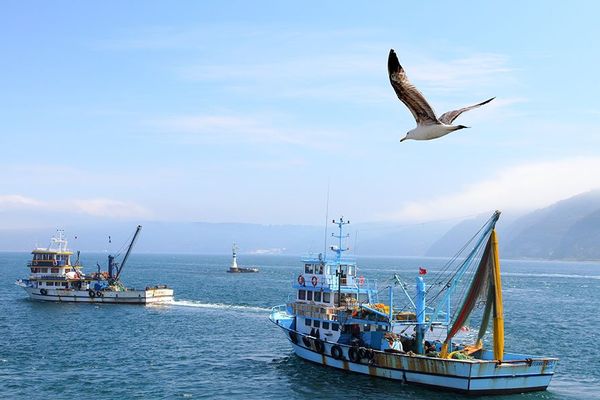 Τουρκικά αλιευτικά νότια της Γαύδου πήραν άδεια και κατέπλευσαν στη Σούδα λόγω καιρού