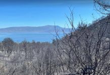 Γεράνια Όρη: Πάνω από 70.000 στρέμματα δάσους στάχτη και κανένας ένοχος