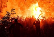 Κορινθιακός: Δεν χρειαζόμαστε εχθρούς τα καίμε μόνοι μας – 55.000 στρέμματα δάσους στάχτη