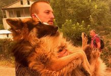 Εύβοια: Εθελοντής διασώζει λυκόσκυλο που ο ιδιοκτήτης του το άφησε δεμένο να καεί