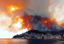 Τιτάνια μάχη με τις φλόγες σε Εύβοια και Ηλεία-118 πυρκαγιές σε ένα 24ωρο