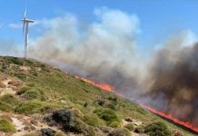 Νέα φωτιά στην Εύβοια πάλι δίπλα στις ανεμογεννήτριες