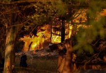 Ξανά κακούργημα ο εμπρησμός-Έγινε πλημμέλημα επί ΣΥΡΙΖΑ