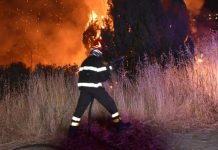 Μάχη με τις φλόγες στην Ιταλία- Διαθέτει μόνον 19 Canadair