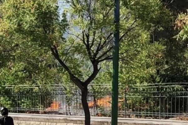 Απόπειρα εμπρησμού στο Πεδίον του Άρεως στην καρδιά της Αθήνας