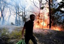 FT: 1.100 δασικές πυρκαγιές στην Ευρώπη ως τις αρχές Αυγούστου