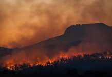 Ιταλία: Αγγίζει τους 50 βαθμούς ο υδράργυρος – «Καίγονται» από φωτιές Καλαβρία και Σικελία
