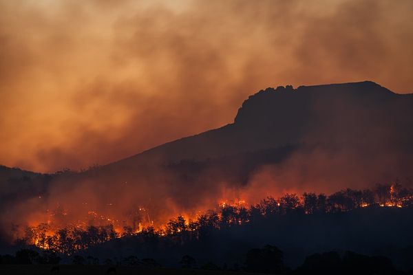 Ιταλία: Αγγίζει τους 50 βαθμούς ο υδράργυρος - «Καίγονται» από φωτιές Καλαβρία και Σικελία