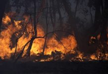 Γαλλία-Κυανή Ακτή: Σφοδρή πυρκαγιά μαίνεται από την Δευτέρα