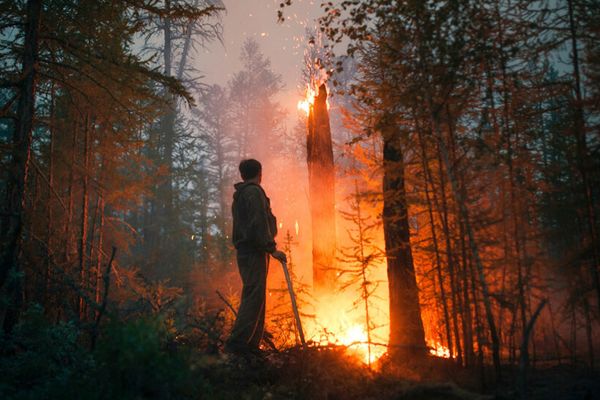 Σιβηρία: Κάηκε έκταση όση η Ελλάδα-Μέχρι τον Β. Πόλο οι καπνοί