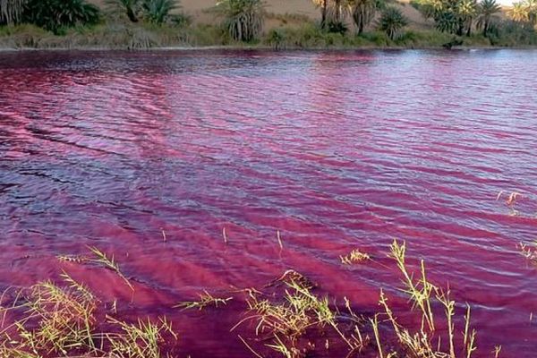 Η Νεκρά Θάλασσα στην Ιορδανία βάφτηκε κόκκινη