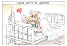 Καρδιά Χοίρου
